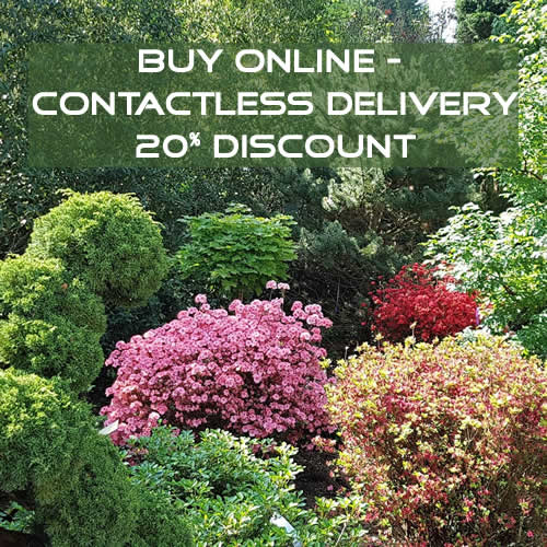 Crews Hill Special Offers - Plants, Shrubs and Trees on offer