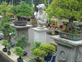 Bonsai Tree Specialist Nursery, Crews Hill, London UK