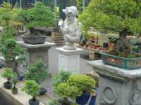 Bonsai Pottery Courses, Crews Hill, London EN2 9DP