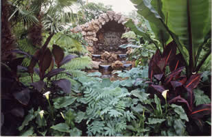 award winning garden from the Chelsea Flower show